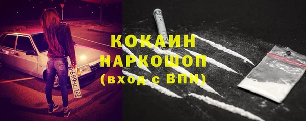крисы Няндома