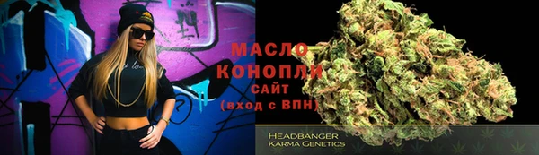 крисы Няндома