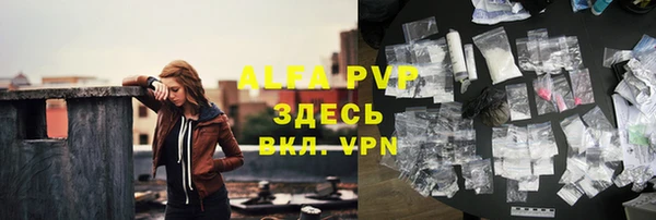 сатива Нязепетровск