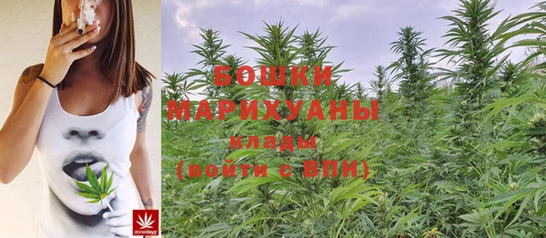 крисы Няндома