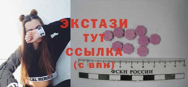 крисы Няндома