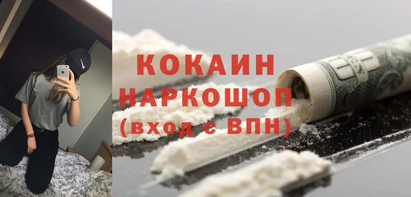 крисы Няндома