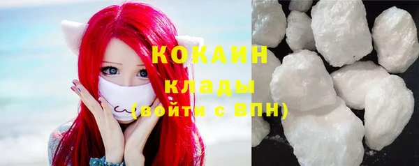 крисы Няндома