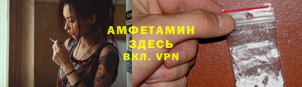 крисы Няндома
