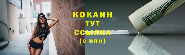 крисы Няндома