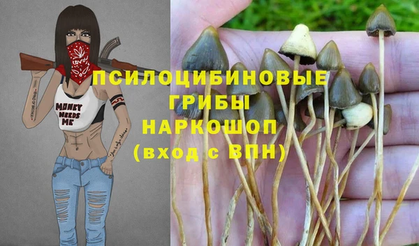 сатива Нязепетровск