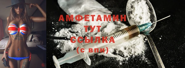 крисы Няндома